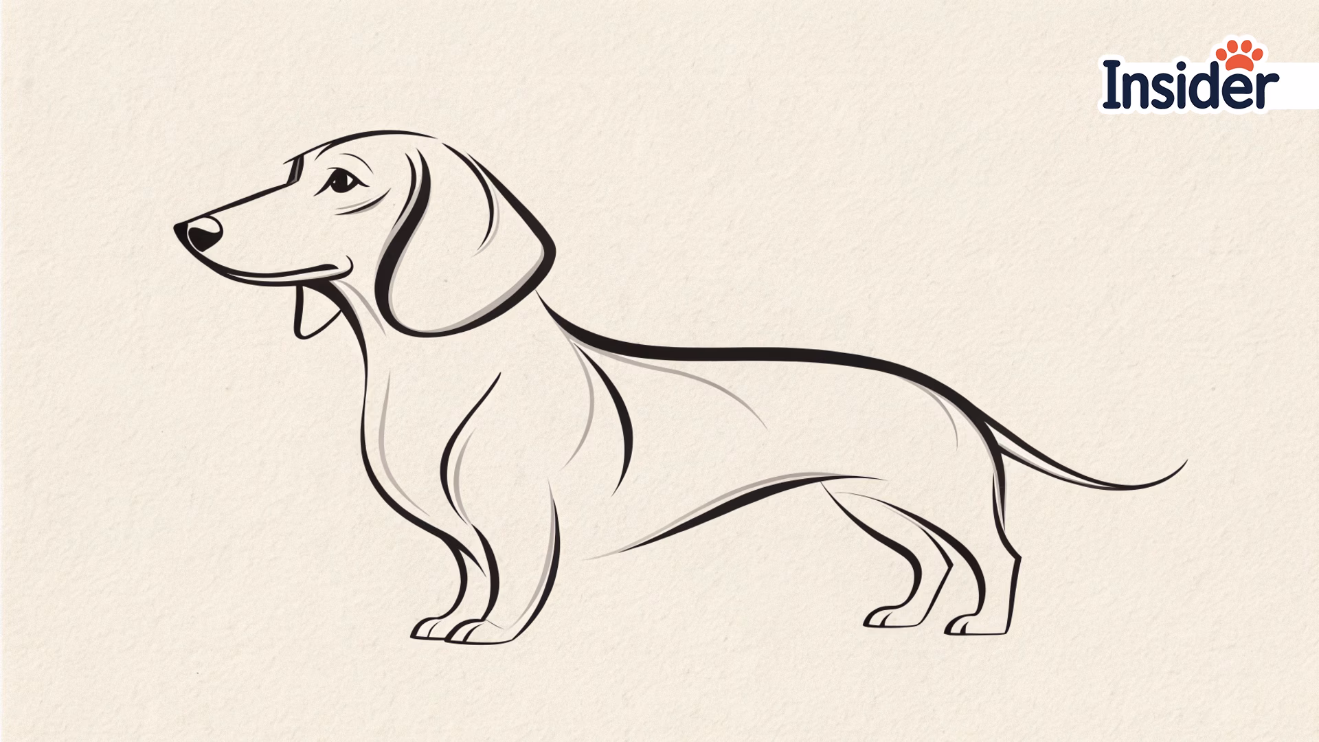3A-modern-minimalist-line-art-pet-portrait-of-a-Dachshund_converted
