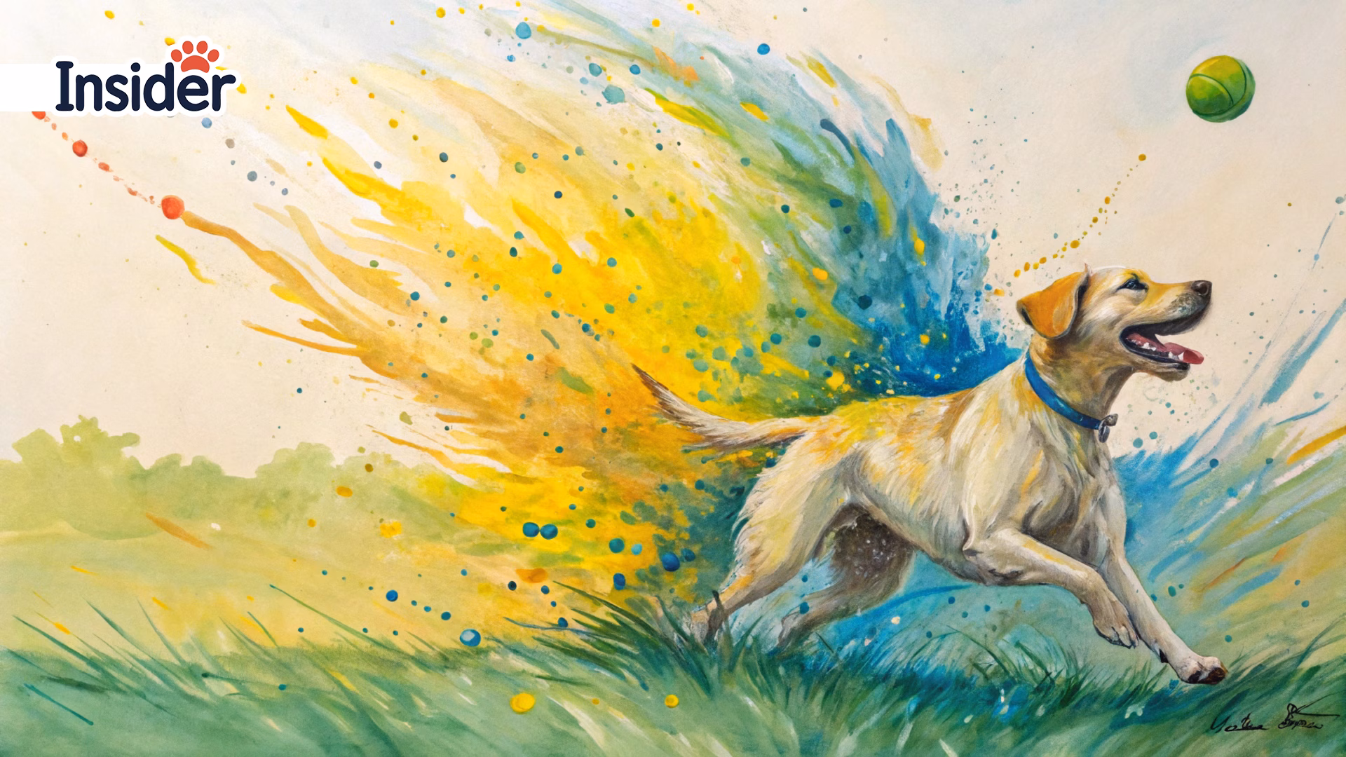 7.-An-abstract-expressionist-painting-representing-the-joyful-energy-of-a-pet,-a-unique-pet-portrait-style._converted