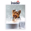 Bath Pet Memorial Canvas, Bubble Dog Portrait Art, Custom Bath Dog Artwork, Noble Pet Painting, Bath Pup from Image