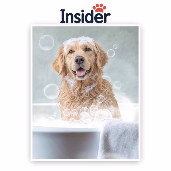 Bubble Bath Canine Art, Bubble Dog Portrait Art, Custom Bath Dog Artwork, Towel Pup from Photo, Bath Pup from Image
