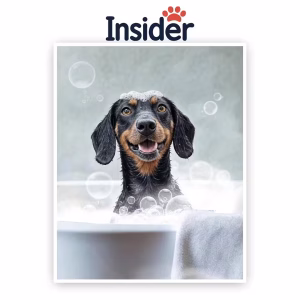 Bubble Bath Canine Art, Canine Bath Creative Print, Custom Bath Dog Artwork, Cozy Bath Painting, Bath Pup from Image