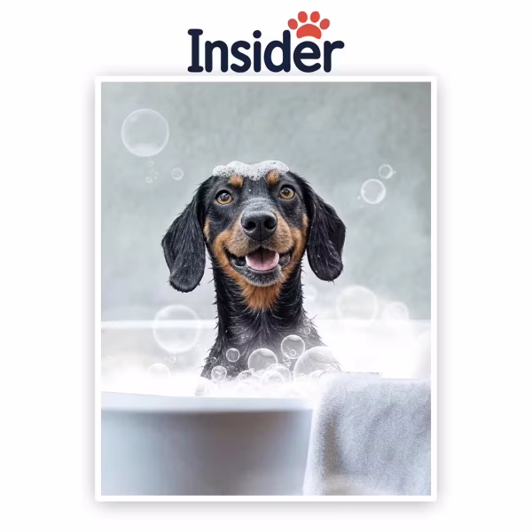 Bubble Bath Canine Art, Canine Bath Creative Print, Custom Bath Dog Artwork, Cozy Bath Painting, Bath Pup from Image