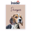 Oil Painted Tub Dog Portrait, Custom Bubble Pet Canvas, Spa Canine Wall Art, Noble Pet Painting, Tub Dog from Photo