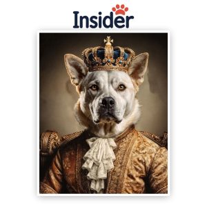 Custom Dog Portrait with Crown, Unique Pet Portrait, Oil Painting Dog Art, Printable Pet Art, Dog Lover Gift, Personalized Puppy Sketch