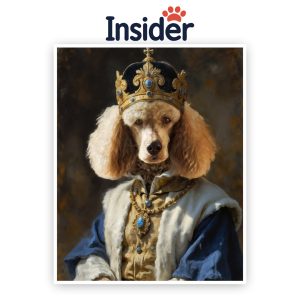 Custom Royal Dog Portrait, Queen Dog Drawing, Regal Art from Photo, Trendy Pet Gift, Personalized Dog Photo Canvas