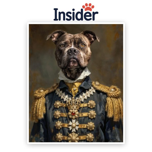Custom Royal Dog Print, Noble Puppy Wall Decor, Renaissance Canine Gift, Personalized Dog Lover Art, Funny Pet Photo Canvas