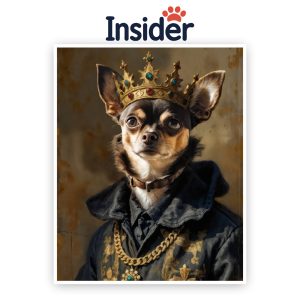 Custom Watercolor Dog Using Pet Photo, Personalized Collage Canvas, Royal Portrait, Creative Dog Cartoon, King Dog Art from Photo