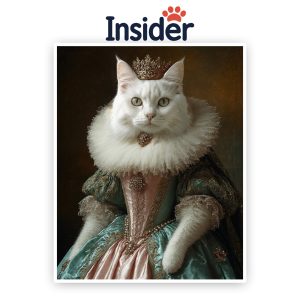 Custom Renaissance Cat Art, Elegant Kitty Illustration, Royal Feline Photo Gift, Personalized Cat Wall Decor, Majestic Pet Painting