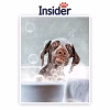 Bubble Bath Canine Art, Bubble Dog Portrait Art, Custom Bath Dog Artwork, Cozy Bath Painting, Elegant Towel Portrait