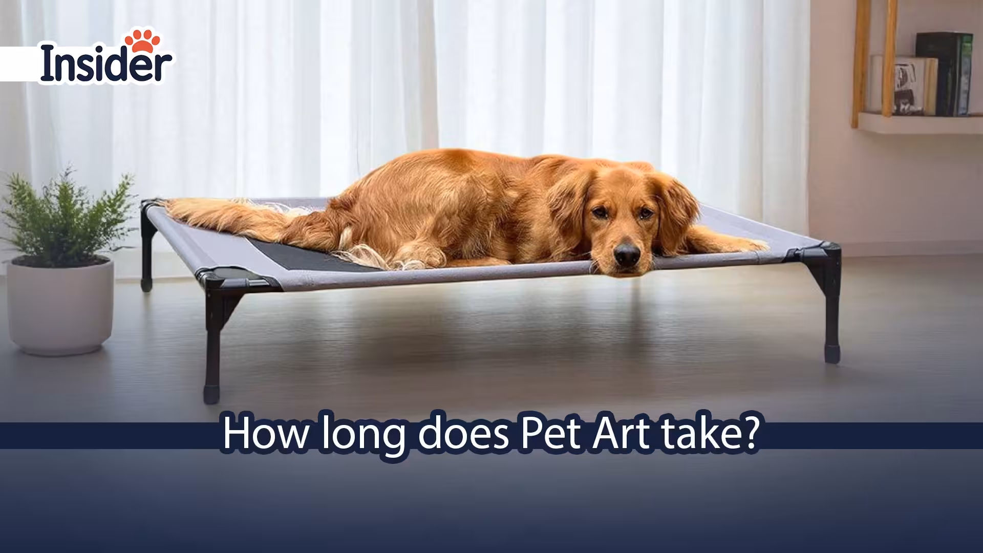 How long does Pet Art take Your 2025 Guide to Custom Pet Art