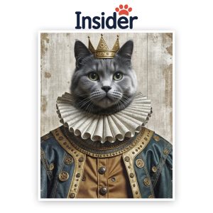 Personalized Royal Cat drawing, Majestic Portrait for Cat Room Decor, Portrait from Photo, Affordable Gift, Royal Print from Meow