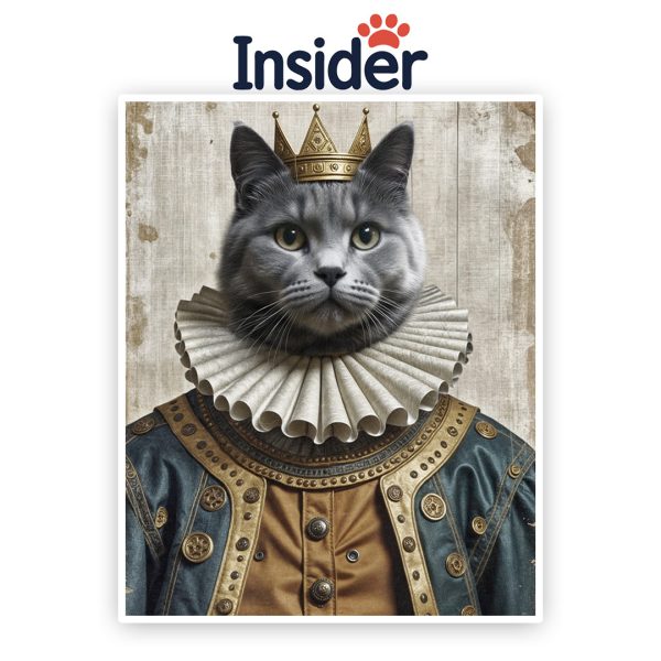 Personalized Royal Cat drawing, Majestic Portrait for Cat Room Decor, Portrait from Photo, Affordable Gift, Royal Print from Meow