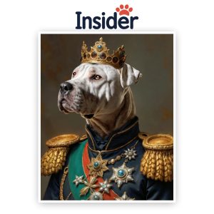 Personalized Royal Dog, Stately Puppy Photo Art, Custom Canine Memorial, Elegant Dog Lover Canvas, Cool Pet Photo Print