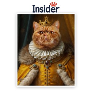Customized Royal Cat Portrait, Queen Cat Drawing, King Art from Cat Photo, Custom Photo Collage Canvas, Personalized Photo Blend Gift