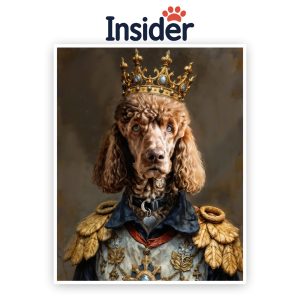 Custom Royal Dog Canvas, Noble Puppy Photo Print, Renaissance Canine Art, Personalized Dog Mom Gift, Funny Pet Wall Decor