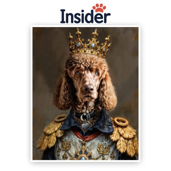 Custom Royal Dog Canvas, Noble Puppy Photo Print, Renaissance Canine Art, Personalized Dog Mom Gift, Funny Pet Wall Decor