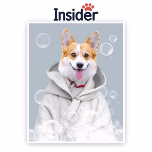 Custom Named Dog Canvas, Bubble Dog Portrait Art, Canine Spa Creative Canvas, Cozy Bath Painting, Bath Pup from Image