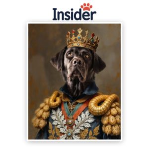 Personalized Royal Dog Art, Noble Canine Photo Gift, Custom Puppy Photo Canvas, Elegant Dog Lover Print, Stately Pet Illustration