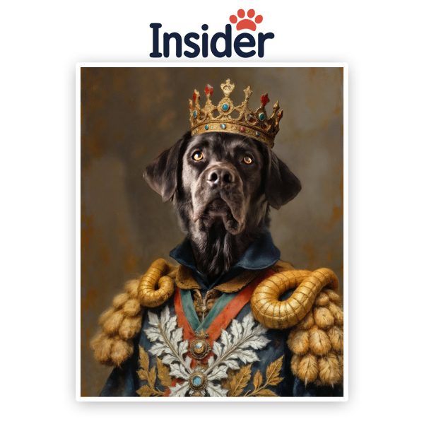 Personalized Royal Dog Art, Noble Canine Photo Gift, Custom Puppy Photo Canvas, Elegant Dog Lover Print, Stately Pet Illustration