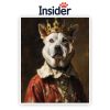 Personalized Royal Dog Portrait, Cool Painting from Pet Photo, Funny Gift for Pet Lover, Aristocratic Dog Renaissance, Stately Puppy Art