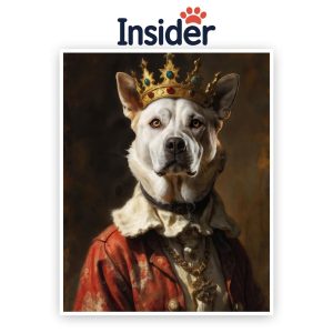 Personalized Royal Dog Portrait, Cool Painting from Pet Photo, Funny Gift for Pet Lover, Aristocratic Dog Renaissance, Stately Puppy Art