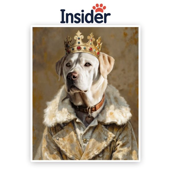Majestic Dog Painting, Royal Canine from Photo, custom Pet Lover Gift, Commemorate Puppy Wall Art, Noble Dog Digital Download