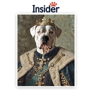 Custom Royal Pet, Printable Dog Graphic, Trendy Portrait for Dog Lover, Playful Puppy Print, Personalized Gift for Family